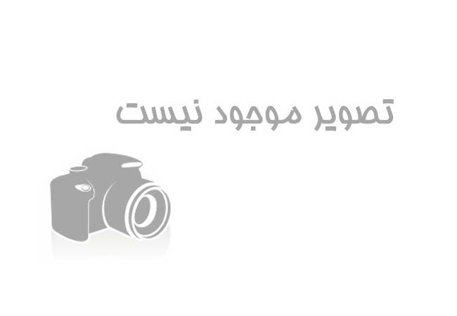 چاپ دهم فیض بوک و ششم نزدیک ته خیار اثر ناصر فیض به بازار آمد